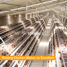 Tianrui Factory Direct Supply A Type Full Automatic Chicken Layer Cage